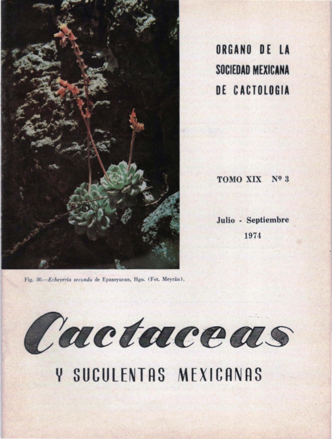 imagen_portada