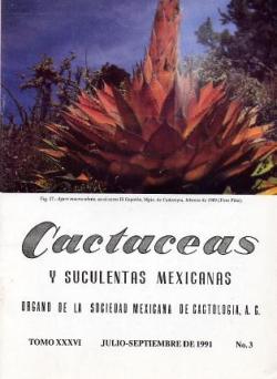 imagen_portada
