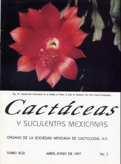 imagen_portada