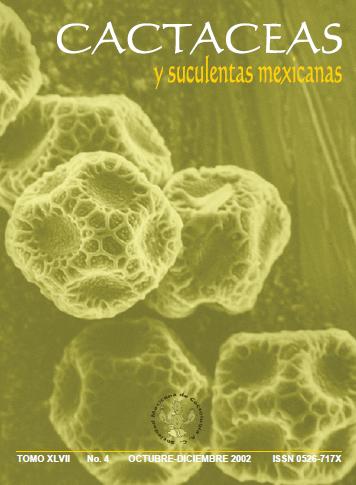 imagen_portada