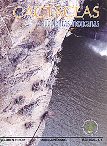 imagen_portada