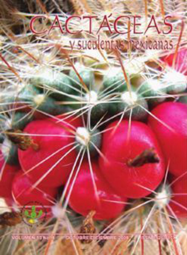 imagen_portada