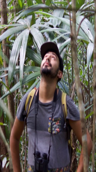 Campo foto
